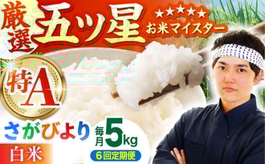 【全6回定期便】さがびより 白米 5kg【五つ星お米マイスター厳選】 [HBL020]特A評価 特A 佐賀 ブランド米 ご飯 米 お米 白米