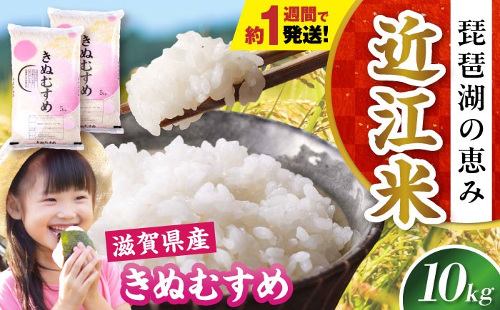 
                  【スピード発送】【令和7年産】米 きぬむすめ 10kg 白米 滋賀県長浜市/株式会社コメック [AQDH006] 米 お米 白米 10kg キヌムスメ 滋賀県産 長浜市産 こめ 精米 お米  食品 国産 米ギフト ブランド米 食卓 美味しい 冷めても美味しい 人気 お弁当 和食 ご飯のお供 上品な 甘み あっさり カレー 丼 卵料理 スピード配送 すぐ発送 すぐ届く 早い
                