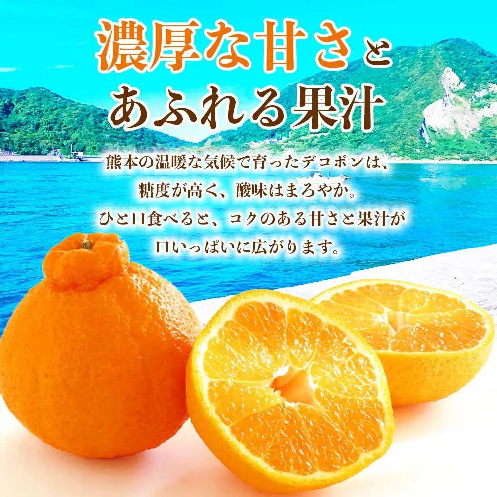 先行予約 デコポン 約3㎏（6～13玉 ）【2026年12月上旬～2027年4月上旬発送予定】