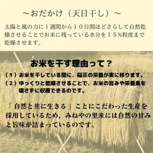 【数量限定】令和7年産　みねやの里米　こしひかり(精米)　5Kg_ 精米 米    コシヒカリ 米 こしひかり_【1459711】