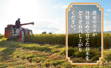 JAかとり直送 ふさおとめ 精米20kg（5kg×4） 千葉県神崎町産 令和7年産 [001-a007]
