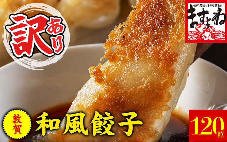 
[001-a014] 【訳あり】 肉汁溢れる！敦賀和風肉餃子 120個入り！【敦賀 増米 ますよね ぎょうざ ギョウザ 冷凍 総菜 惣菜 点心 焼くだけ 簡単 訳アリ お取り寄せ お中元 御中元 ギフト 贈り物 プレゼント】
