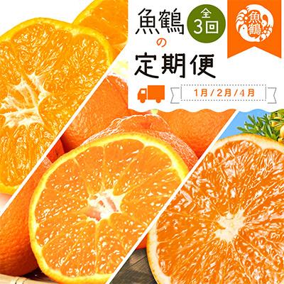 ふるさと納税 美浜町 【発送月固定定期便】紀州和歌山産旬の柑橘セット(みかん・不知火・清見)全3回