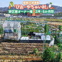 【ふるさと納税】寝屋川農園「びお・やちゃい村」貸区画オーナー権 (3坪・6か月間)｜貸し農園 家庭菜園 自家栽培 収穫体験 農業体験 果物 野菜 数量限定 大阪府 寝屋川市 [0022]