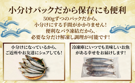 丸ごとイワシ 約3kg 冷凍 鰯 イワシ いわし 鰯 イワシ いわし 大一奈村魚問屋