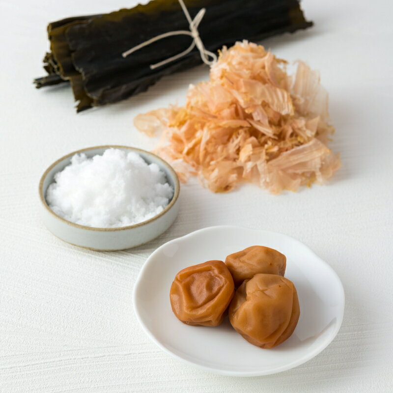 【ふるさと納税】 ご家庭用梅干し　梅娘　500g・1kg / みなべ町 梅干 うめぼし ウメ うす塩味 家庭用 紀州南高梅 南高梅 簡易包装 お弁当 おにぎり