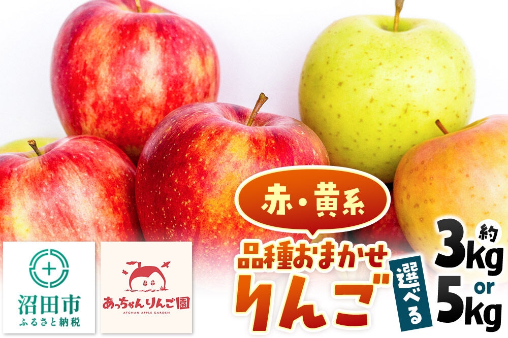 
                  《11月上旬～下旬にお届け》品種おまかせ りんご 箱入り【選べる容量 約3kg／約5kg】 あっちゃんりんご園 [林檎 りんご リンゴ 3kg 5kg フルーツ 果物 くだもの 群馬県 沼田市]
                
