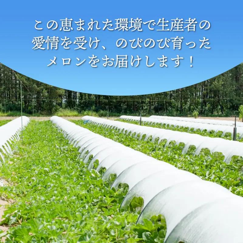 庄内砂丘アンデスメロン 約5kg (3～5玉) 令和9年産 K-935 佐藤農園