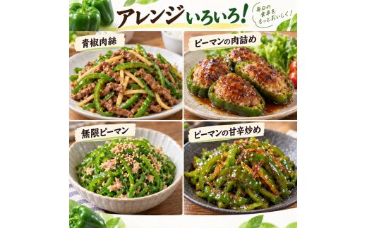 秀品 ピーマン 1.5kg |  国産 野菜 やさい 新鮮野菜 旬 産地直送 農園直送 お取り寄せ おかず 食品 食材 炒め物 肉詰め サラダ 天ぷら BBQ バーベキュー お弁当 大容量 高知県 南