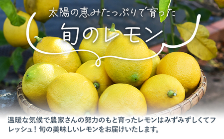 レモン 訳あり 3kg レモン
