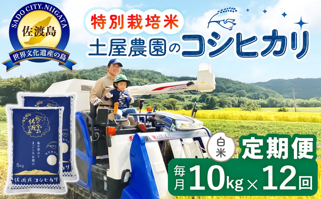
                  佐渡島産【12か月定期便 コシヒカリ】佐渡島産コシヒカリ 白米 合計120kg（10kg（5kg×2袋）×毎月全12回）令和8年産 新米 特別栽培米 | 新潟県産コシヒカリ 新潟産コシヒカリ 新潟コシヒカリ 佐渡産コシヒカリ 新潟県産こしひかり 佐渡産こしひかり お米 米 こしひかり 白米 精米 ブランド米 おこめ コメ 10キロ 世界農業遺産 にいがた さど 新潟県 佐渡市
                