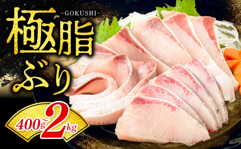 
                  ぶり ロイン 生鮮 刺身 海鮮 海産物 魚 養殖 水産物 海鮮丼 ぶりしゃぶ 生食 冷凍 真空 しゃぶしゃぶ 国産 ブリ鰤  贈答用 おすそ分け お刺身 お試し 食品 お歳暮 ぶり大根 鮮魚  黒潮 おすすめ 高知県 宿毛市
                