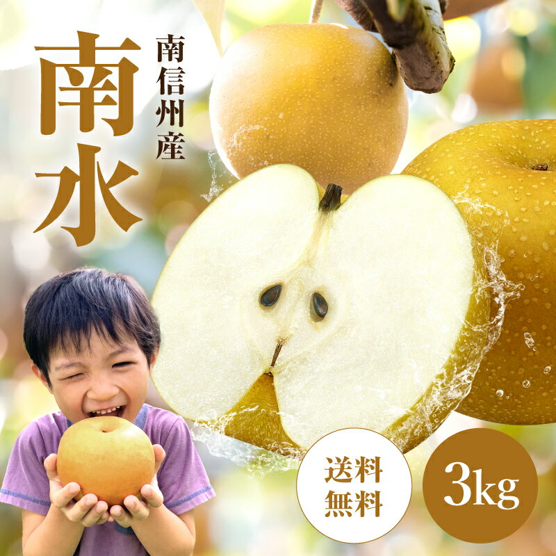 【ふるさと納税】南信州産 梨【南水】3kg | 果物 くだもの フルーツ なし 南水 和梨 梨 長野県 信州 飯田市