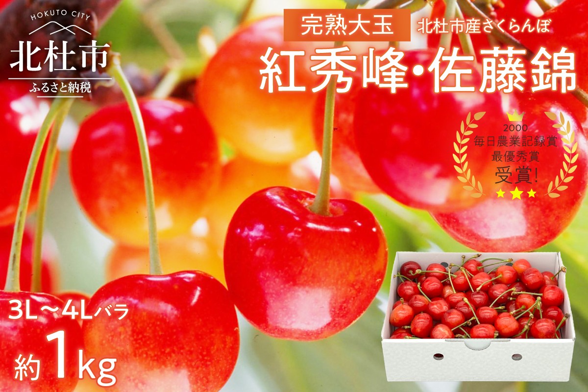 
            【2026年発送 先行予約】完熟大玉・さくらんぼ（3L～4Lバラ 約1kg） 佐藤錦 紅秀峰 優良系統 チェリー 果物 やまなしGAP認証 フルーツ グランプリ ※2026年6月中旬以降順次発送 岩原果樹園 山梨県 北杜市

          