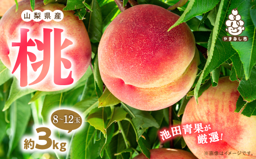 
            ＜2025年先行受付＞桃 約3kg (8玉～12玉) 厳選 ! 池田青果の もも【1280521】
          