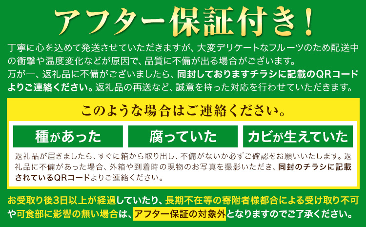 【先行予約】訳あり シャインマスカット 約650g 《2026年8月上旬-8月下旬頃出荷》訳あり シャインマスカット マスカット ぶどう フルーツ 果物 大阪府 羽曳野市 シャイン 食べやすい