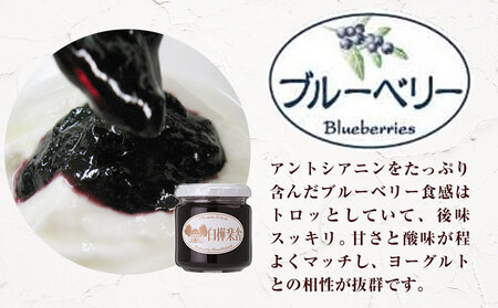 ジャム ブルーベリージャム 2個 180g × 2個  豊年楽市有限会社《30日以内に出荷予定(土日祝除く)》千葉県 流山市 パン ブルーベリー│ジャム ジャム ジャム ジャム ジャム ジャム ジャム