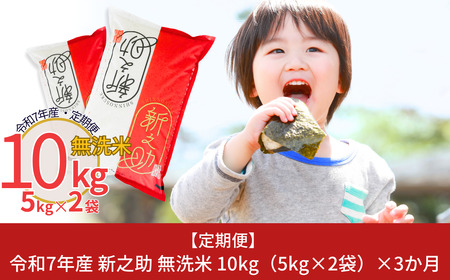 定期便 無洗米 新之助 10kg×3か月 令和7年産新之助  無洗米 白熊
