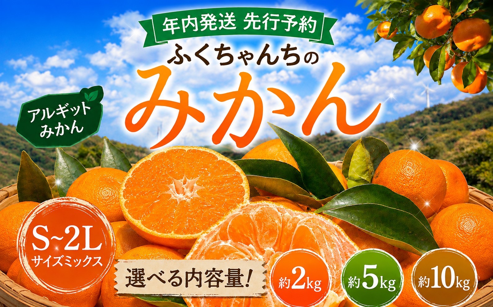 
                  【 先行予約 】 【 年内発送 】 ふくちゃんちのみかん サイズミックス 選べる 内容量 約 2kg ～ 10 kg 令和8年 12月初旬 ～ 順次発送 ｜ みかん ミカン 蜜柑 アルギット 有機栽培 農家直送 海草 S M L ２L 詰め合わせ 不揃い 瀬戸内 年内配送 山口県 平生町
                