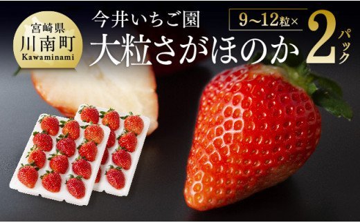 【令和8年発送】宮崎県産いちご　大粒さがほのか（9～12粒入）×2パック【 国産 イチゴ 苺 果物 くだもの 期間限定 数量限定 】 [C04603]