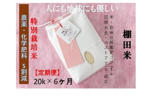 【2025年産新米】【6ヶ月定期便】【農薬化学肥料5割減】魚沼コシヒカリ 苗場プリンセス 特別栽培米 精米 20kg(5kg×4袋)×6回 計120kg
