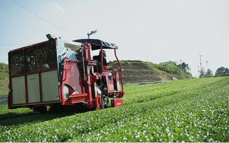 奥八女茶シングルオリジンセット『前衛』　050-008