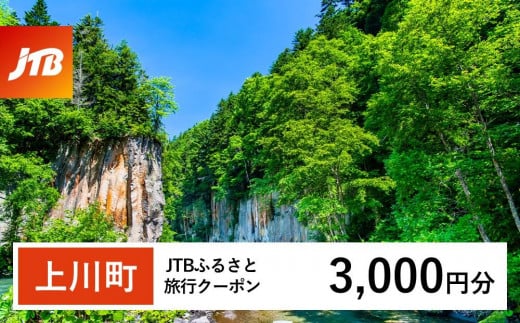 【上川町】JTBふるさと旅行クーポン（Eメール発行）（3,000円分）【 北海道 上川町 上川 トラベル 宿泊 予約 ホテル 旅館 温泉 】