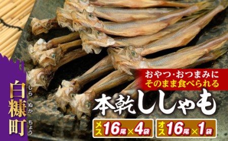 お子様のおやつから酒のつまみまで　そのまま食べられる「本乾ししゃも」【メス16尾×4袋・オス16尾×1袋】_I010-0317