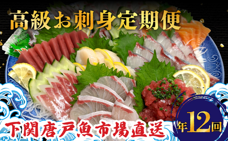 【 刺身 】 高級刺身定期便 12回 EY