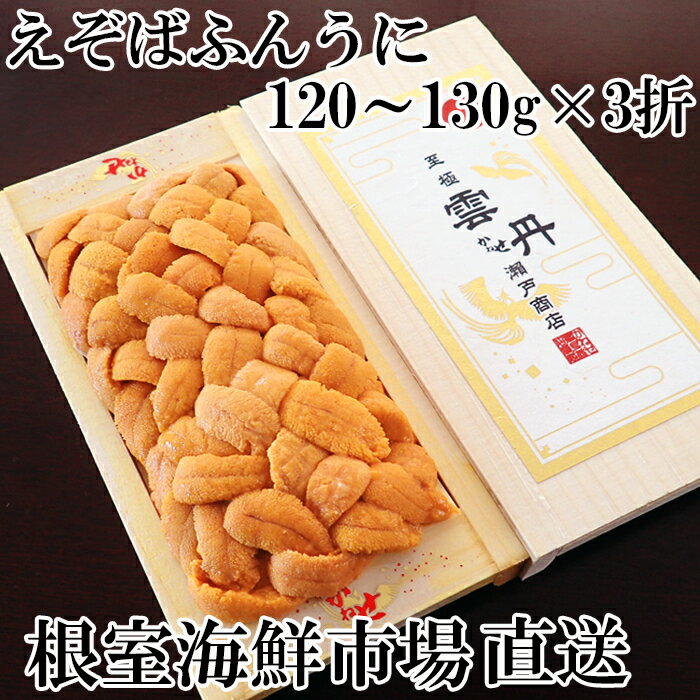 【ふるさと納税】エゾバフンウニ（黄系）120〜130g×3折[2026年1月中旬以降発送] D-11061