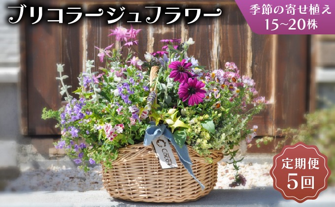 【全5回定期便】季節の寄せ植え ブリコラージュフラワー