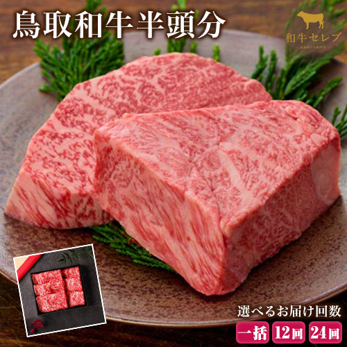 【和牛セレブ】鳥取和牛半頭分 約96.8～100kg 選べる配送回数 一括 12分括 24分括『和牛セレブ｜お肉ギフト専門店』《ご入金を確認してから約1ヶ月後に配送開始》鳥取県 八頭町 和牛 牛 牛肉 国産 黒毛和牛 半頭分 ギフト 和牛セレブ