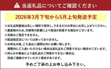 【先行受付】不知火 約5kg（16玉～22玉） 柑橘 みかん 蜜柑 ミカン デコポン フルーツ 果物 果実 カットフルーツ 天草 熊本県 上天草市 【2026年3月下旬から5月上旬順次発送予定】