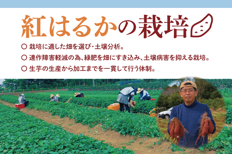 【6ヶ月定期便】茨城県阿見町産　冷凍焼き芋1.5㎏【やきいも 焼き芋 焼芋 芋 冷凍 冷凍焼き芋 冷凍焼芋 冷凍食品 さつまいも 紅はるか 阿見町 茨城県】（04-34）