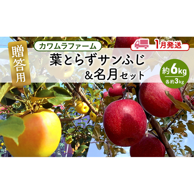 りんご 【1月発送】カワムラファーム 贈答用 葉とらず サンふじ & 名月 セット 約6kg 【弘前市産 青森りんご】 青森 弘前