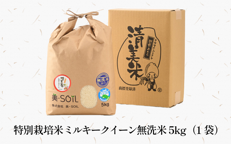 【令和8年産 新米】ミルキークイーン 5kg 無洗米 特別栽培米 低農薬 《食味値85点以上！こだわり無洗米》 / 福井県 あわら市 北陸 米 お米 人気 白米 精米 [aw032-a018]