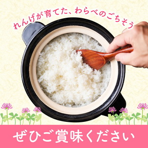熊本県菊池市産のれんげ米 5kg 《30日以内に出荷予定(土日祝除く)》  精米方法 精米 お米 白米 レンゲ米 熊本県産 九州産 送料無料