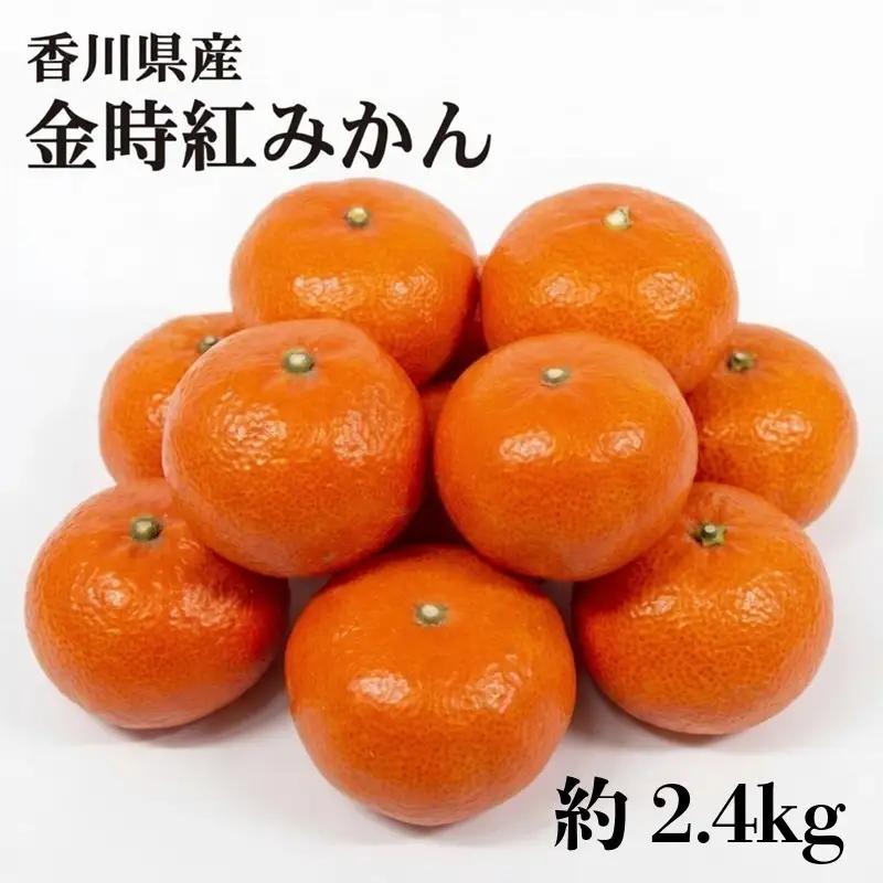 【11月中旬~12月下旬の間で順次発送予定】金時紅みかん 約2.4kg