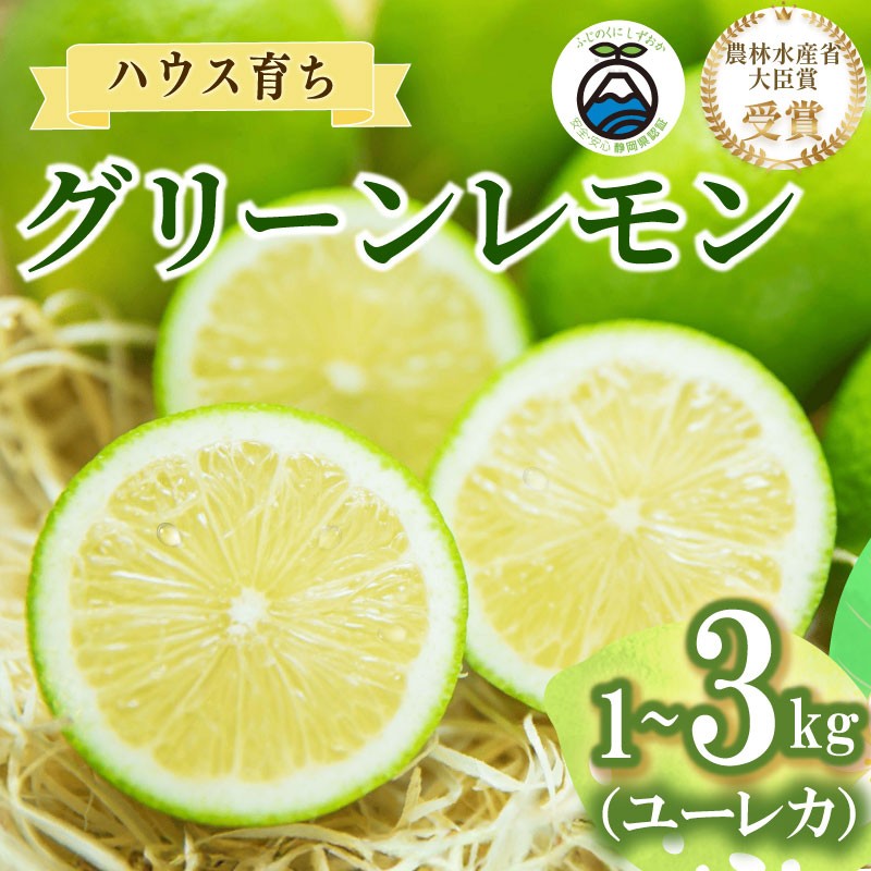 
                  【農林水産大臣賞  予約受付 国産 レモン】選べる 内容量 グリーンレモン 1~3kg れもん 檸檬 Lemon 柑橘類 柑橘 フルーツ 果物 酸っぱい 果肉 酸味 甘み 防腐剤不使用  受賞農園 皮食べられる 自宅用 贈答品 レモンスカッシュ レモンパウンドケーキ レモンサワー くだもの 家庭用 静岡県産 農家直送 産地直送 産直   グリーン レモン 大関農園  静岡 県 牧之原 市
                