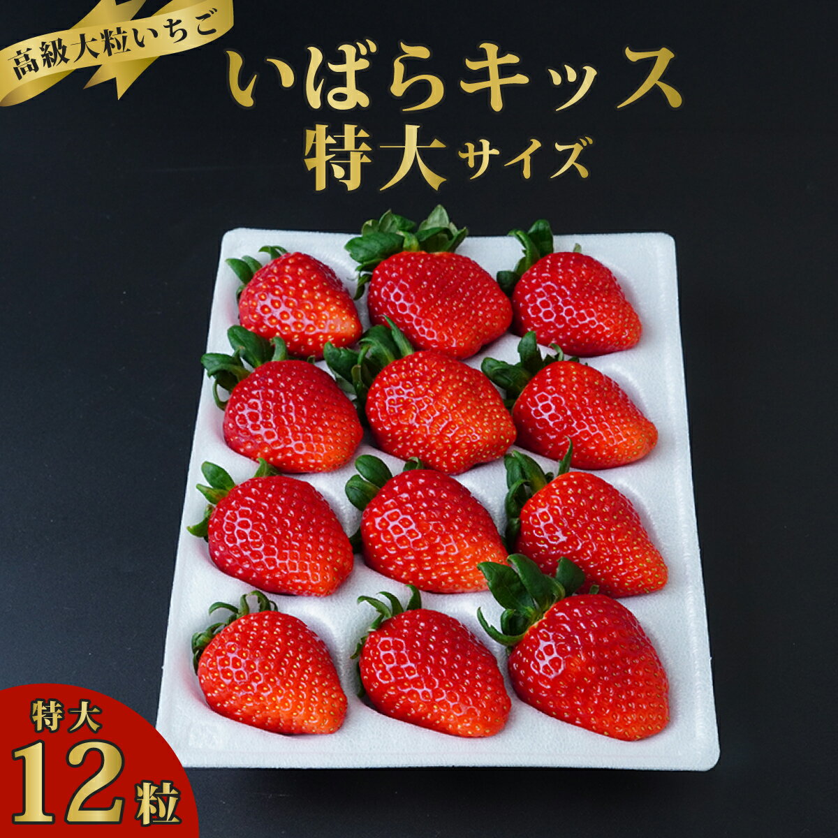 【ふるさと納税】特大いちご いばらキッス12粒 | 大粒 新鮮 朝採れ フルーツ 大きい 果物 デザート 贈り物 人気 高級 ギフト お取り寄せ 完熟 はる農園 茨城県 常陸太田