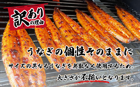 【 母の日ギフト 】【化粧箱入り】【 訳アリ 】 国産うなぎ 蒲焼き 3尾 セット ( 380g ) 大きさ の不揃い 山椒付き ウナギ 鰻 ふぞろい 不揃い うな重 ひつまぶし 人気 茨城 八千代町