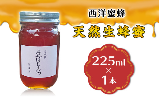 【先行予約】天然生蜂蜜 「西洋蜜蜂」 225ml 1本【 2026年6月上旬から順次発送予定 】【 はちみつ 国産 生はちみつ なま 生蜂蜜 生ハチミツ 天然生蜂蜜 】