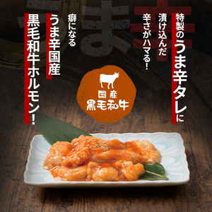 牛ホルモン国産黒毛和牛うま辛焼肉牛ホルモン【約300g】