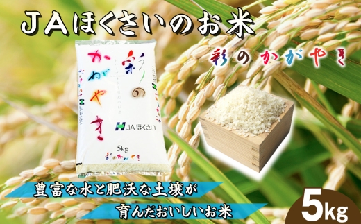 鴻巣市産「彩のかがやき」5kg ／ 令和7年産 2025年産 米 コメ こめ おこめ kome okome 精米 お米 国産米 5キロ ご飯 ブランド米 美味しい さっぱり 甘み おにぎり お弁当 家庭用 和食 取り寄せ グルメ 埼玉県 No.568