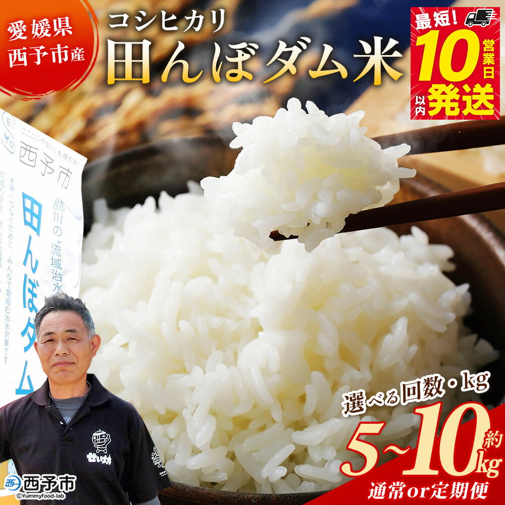 【ふるさと納税】＜令和7年産 愛媛県西予市産 コシヒカリ 田んぼダム米 5kg/10kg＞※最短10営業日以内に順次発送予定 選べる 配送回数 通常 定期便 こしひかり 西予応援米 宇和米 お米 コメ こめ 白米 精米 米 国産 愛媛県産 和みファーム 愛媛県 西予市【常温】