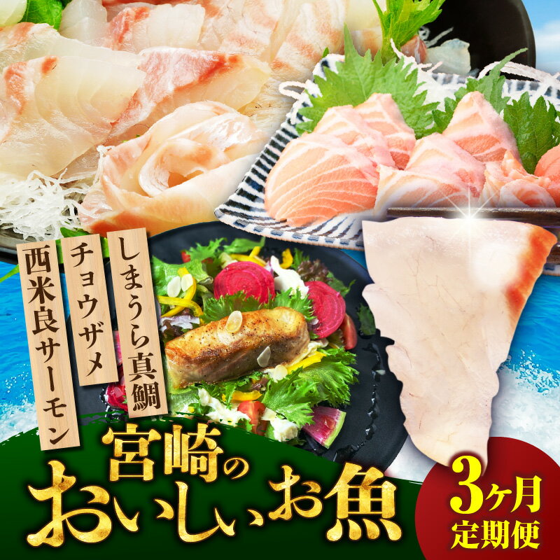 【ふるさと納税】宮崎のおいしいお魚 3ヶ月定期便 鯛 サーモン チョウザメ セット 詰め合わせ 定期便 しまうら真鯛 西米良サーモン チョウザメの切り身 白身魚 真鯛 鮭 鯛 シャケ サーモン 魚 魚介 魚介類 冷蔵 小分け パック 柵 切り身 刺身 贈答 贈り物 ギフト 人気 宮崎