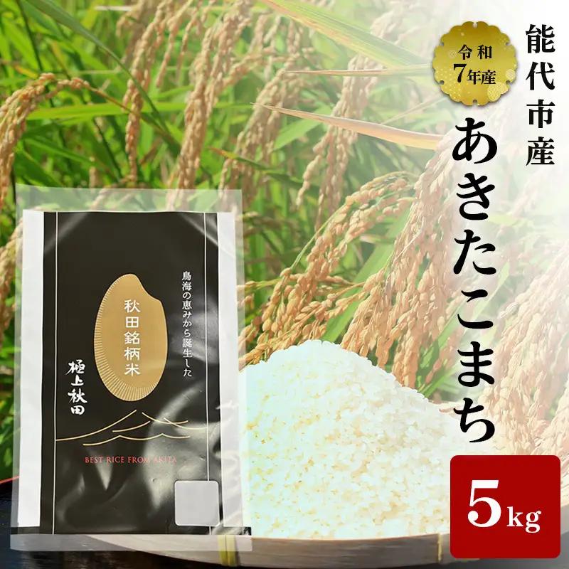 あきたこまち 令和7年産 白米 秋田県産 あきたこまち【5kg(5kg×1袋)】