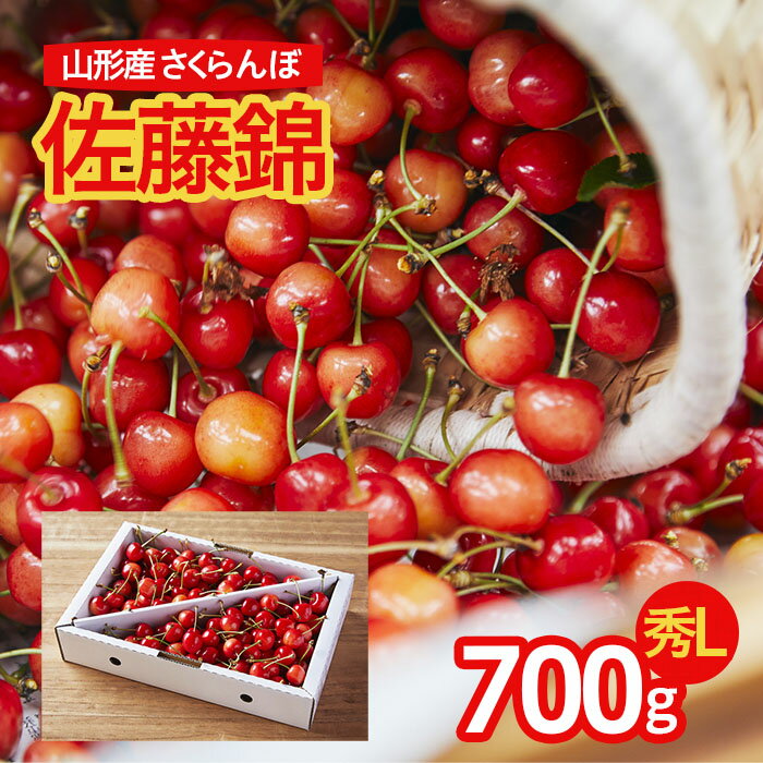 【ふるさと納税】さくらんぼ！佐藤錦 農家オススメ！L玉 700g 【令和7年産先行予約】FU21-672くだもの 果物 フルーツ 山形 山形県 山形市 お取り寄せ 2025年産