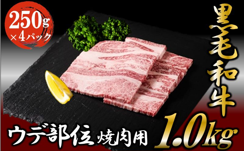 
黒毛和牛 焼肉用 1kg （250g×4パック） 国産 お肉 和牛 牛 精肉 食品 [№5802-0952]
