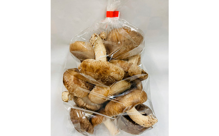 No.467 訳ありでも美味しい！自然の恵み生椎茸720g